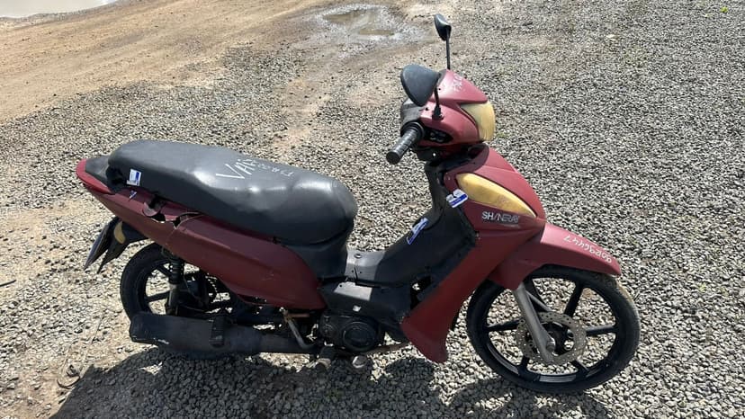I / SHINERAY XY 50 Q - 2014/2015
