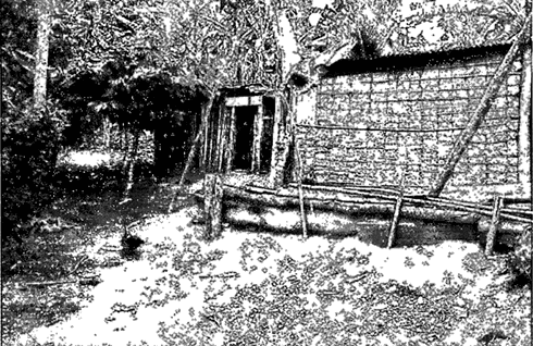 Imóvel Rural com 12 hectares, Ubatã-Bahia