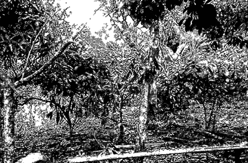 d67c67ce382cca17004ad7f0e243c25b.png